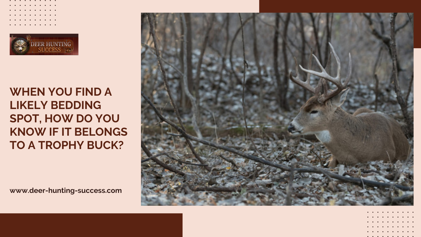 Plant Food Plot