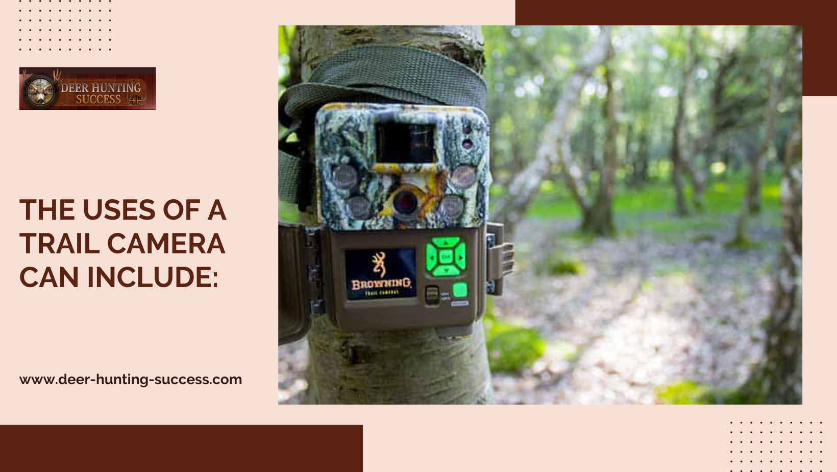 Trail Cameras