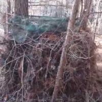 Choosing Your Blind or Stand Location