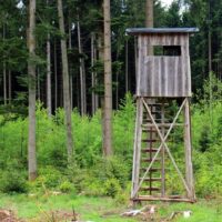 Elevated Hunting Box Blind