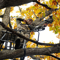 Gorilla Tree Stand