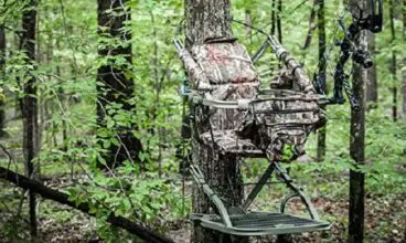 How to Choose the Correct Tree Stand