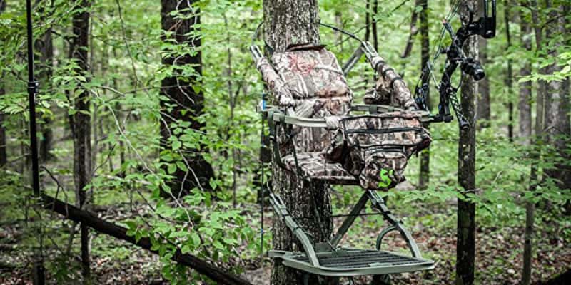 How to Choose the Correct Tree Stand