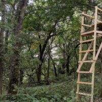 How to Correctly Hang Your Tree Stand