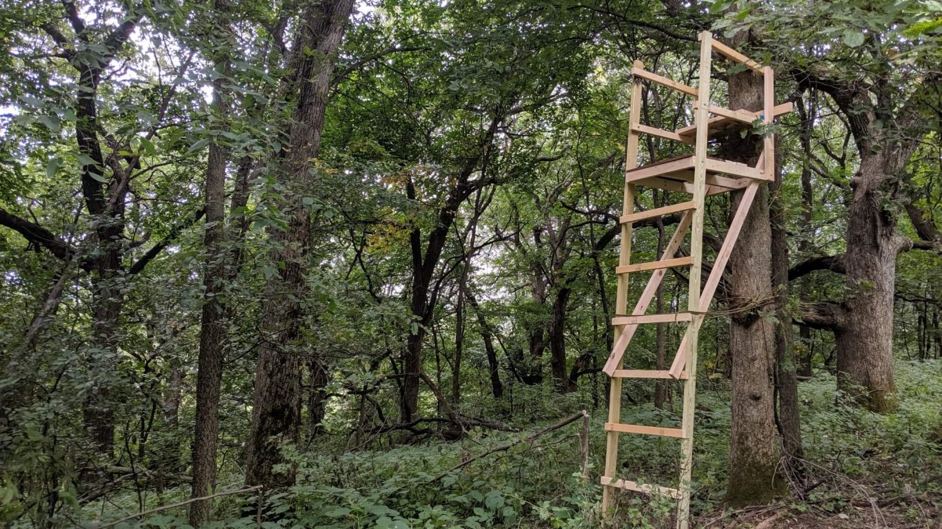 How to Correctly Hang Your Tree Stand