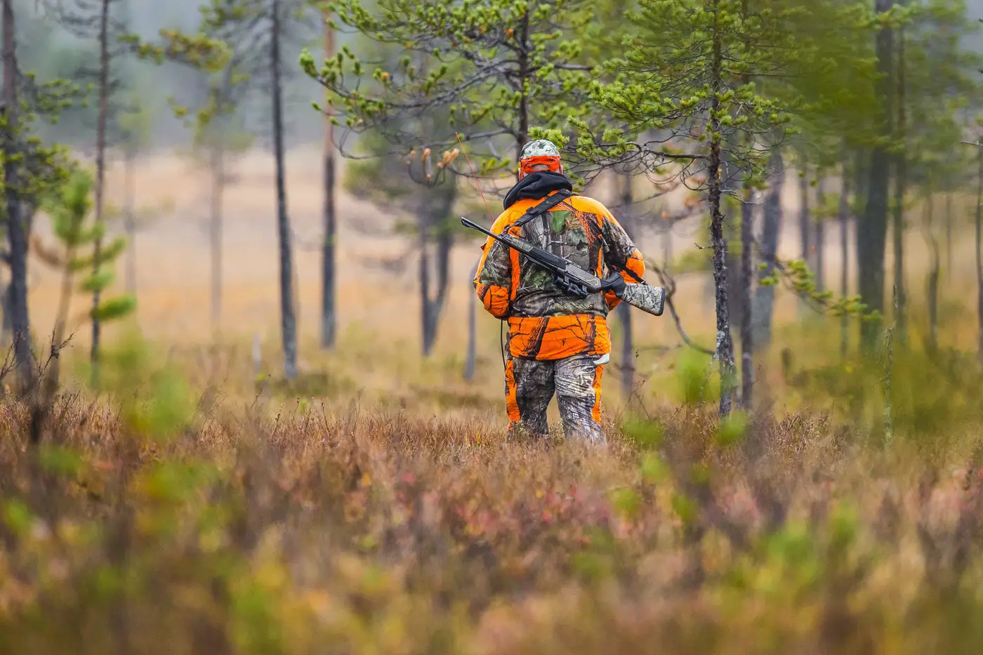 The Only 3 Places to Hunt -