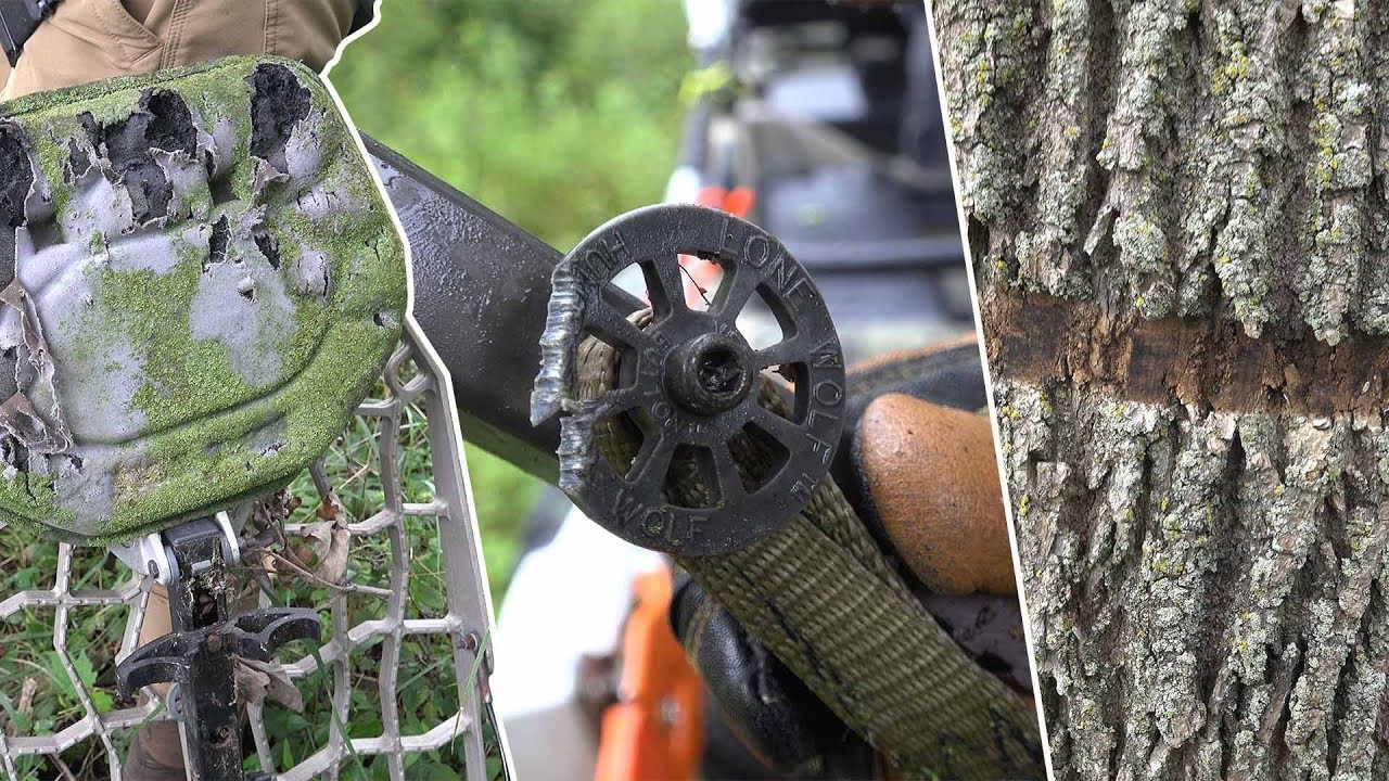 Tree Stand Maintenance