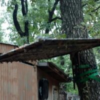 Tree Stand Roof