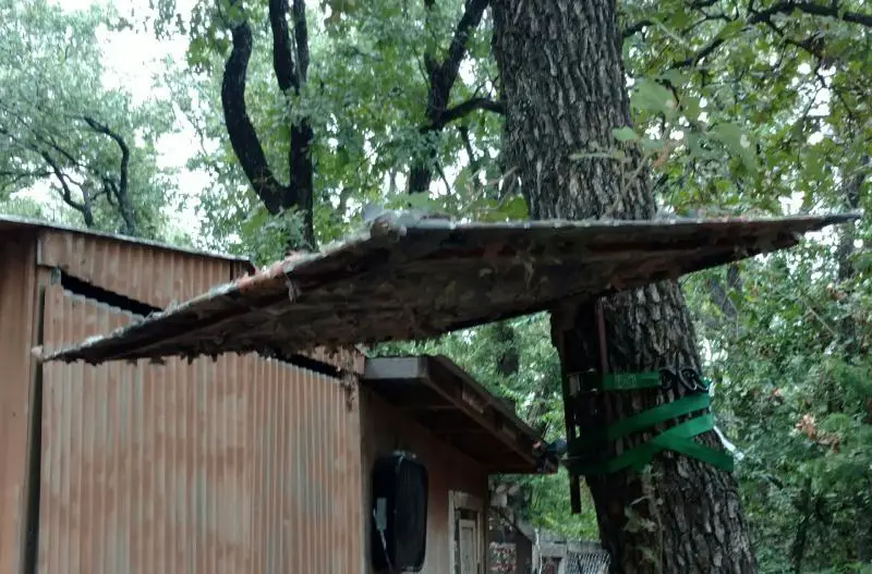 Tree Stand Roof