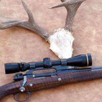 Which is the Best Deer Hunting Rifle -