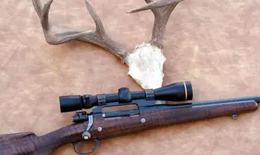 Which is the Best Deer Hunting Rifle -