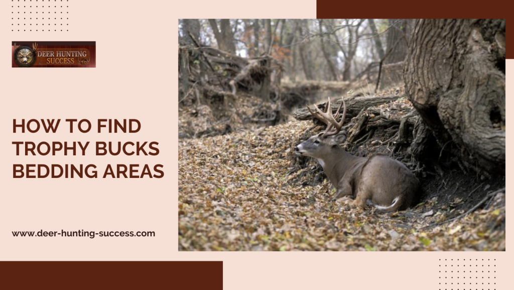 Deer Hunting Success Experience the thrill of the hunt and the