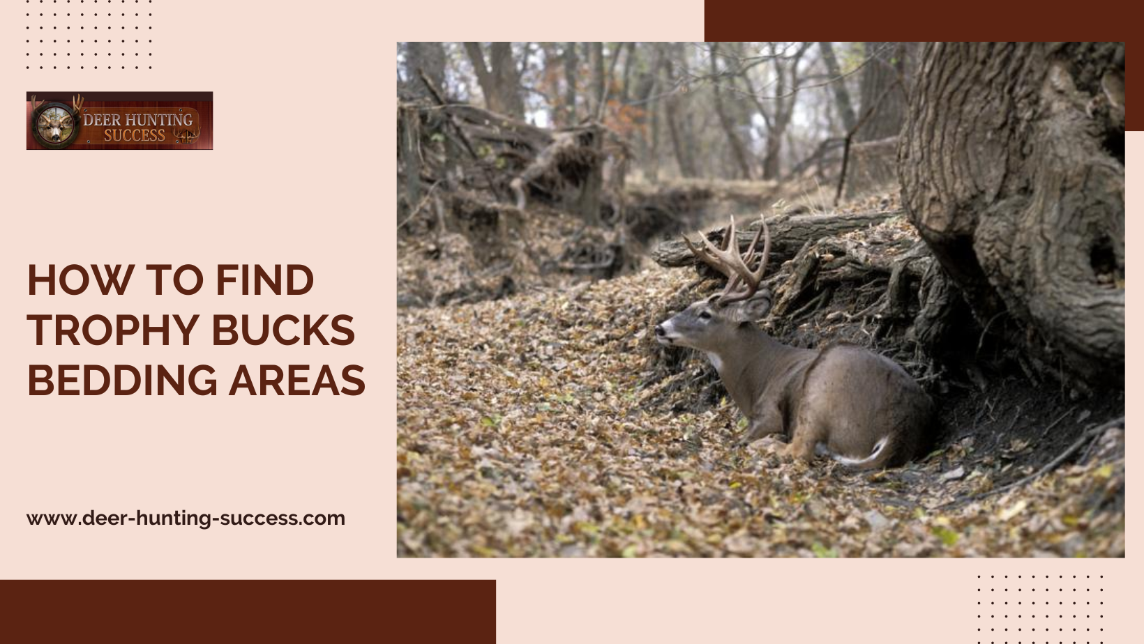 How to Find Trophy Bucks Bedding Areas