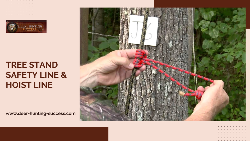 Tree Stand Safety Line
