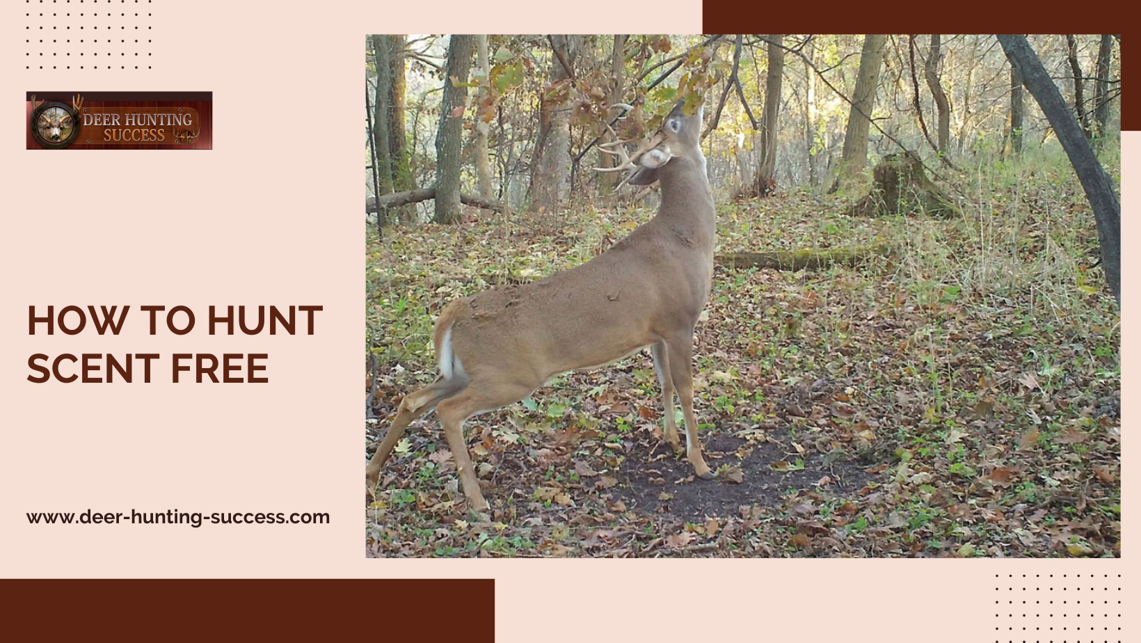 How to Hunt Scent Free
