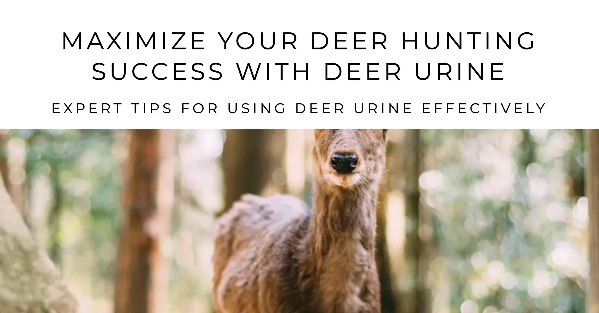 How to Effectively Use Deer Urine to Improve Your Deer Hunting SuccessHow to Effectively Use Deer Urine to Improve Your Deer Hunting Success
