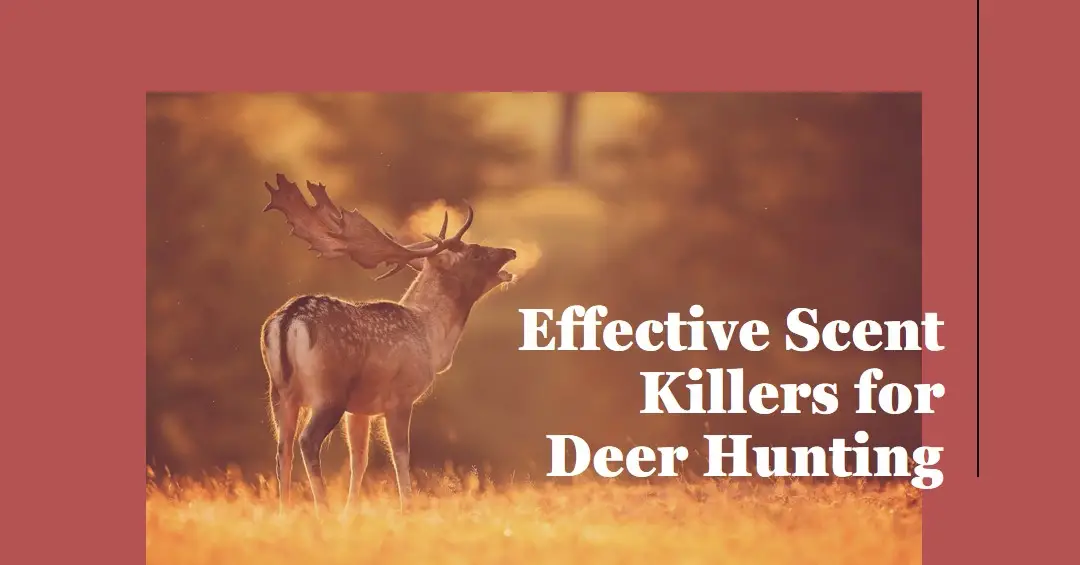 Best Scent Killers for Deer Hunting
