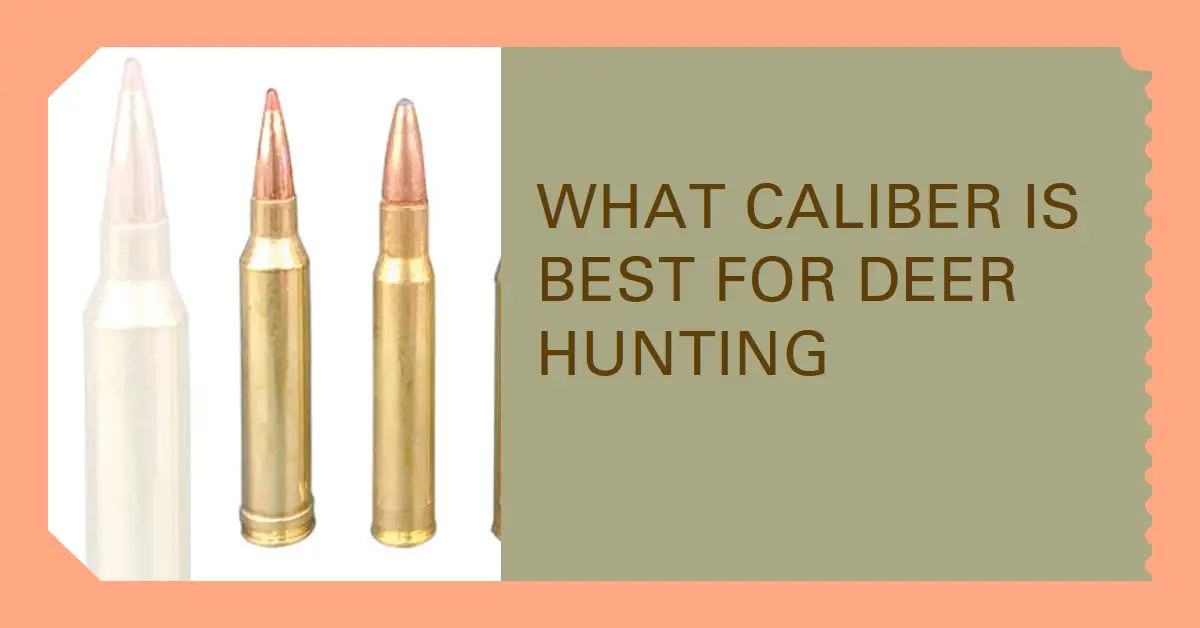 What Caliber is Best For Deer Hunting