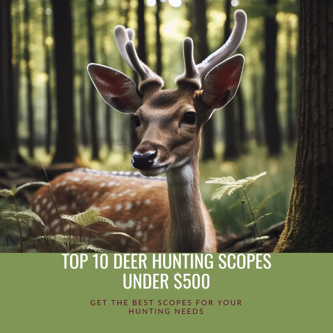 The 10 Best Deer Hunting Scopes Under $500 in 2024