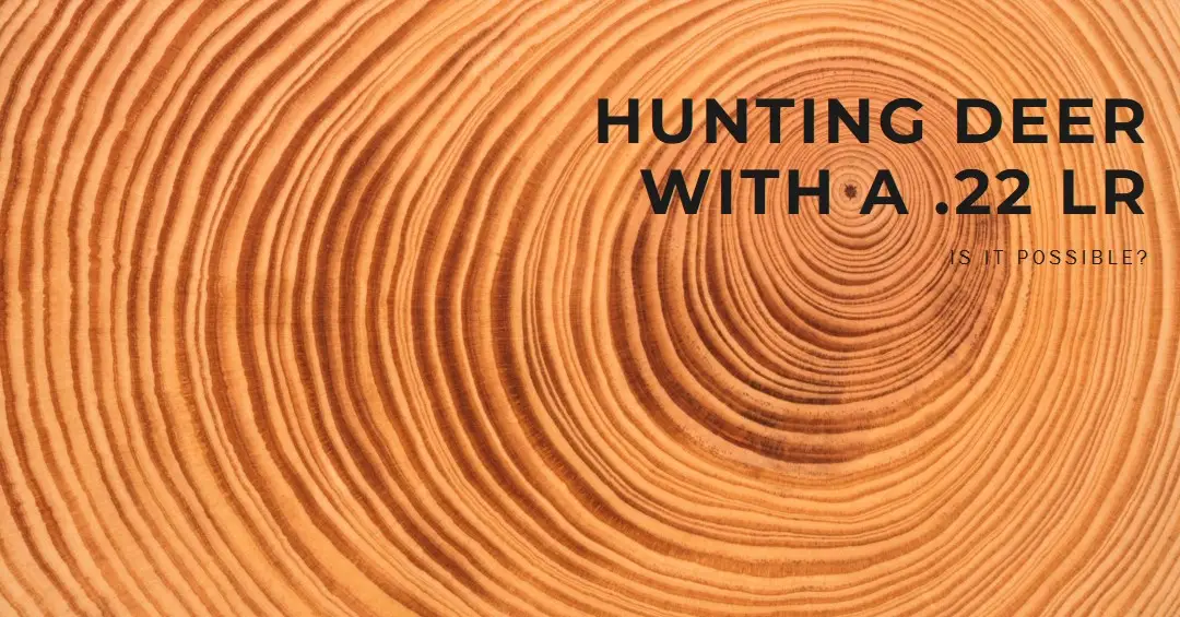Can You Hunt Deer With a .22 LR?