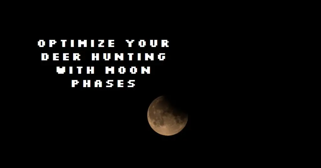 How the Moon Impacts Deer Movement A Hunter