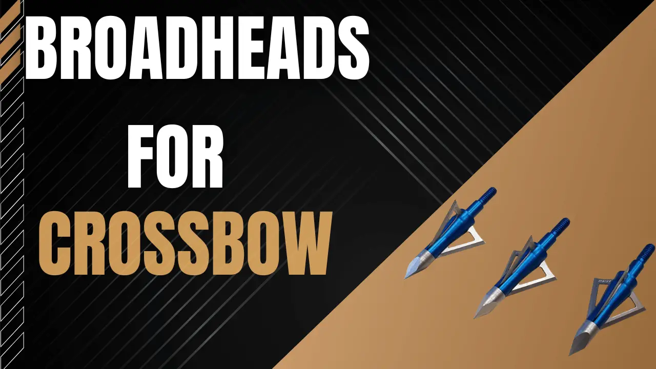 Best Broadheads for Deer Hunting with a Crossbow
