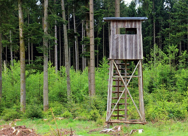 build your own tree stand