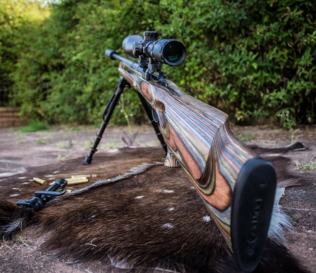 can you hunt deer with a 223