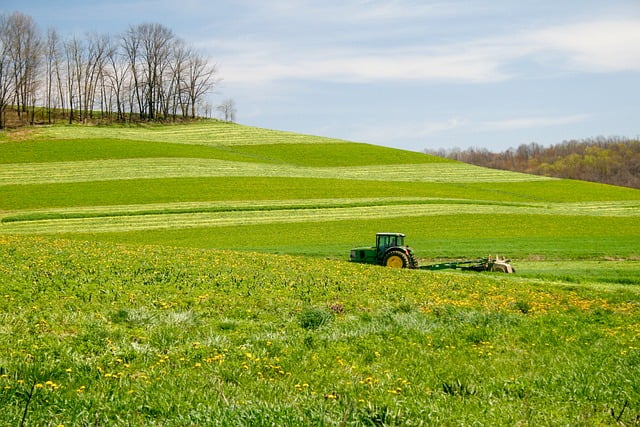 Lush green deer food plot with a hand-crank broadcast spreader ready for fertilizer.
