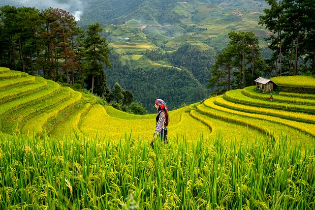food plot soil analysis