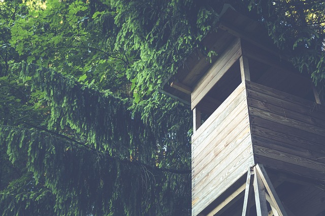 hang your tree stand correctly