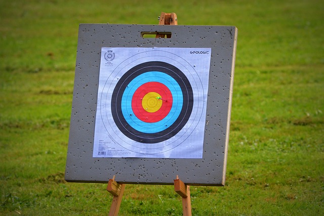 Crossbow Target