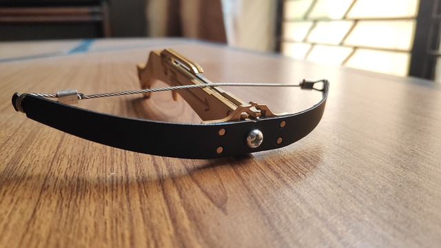 Crossbow Case