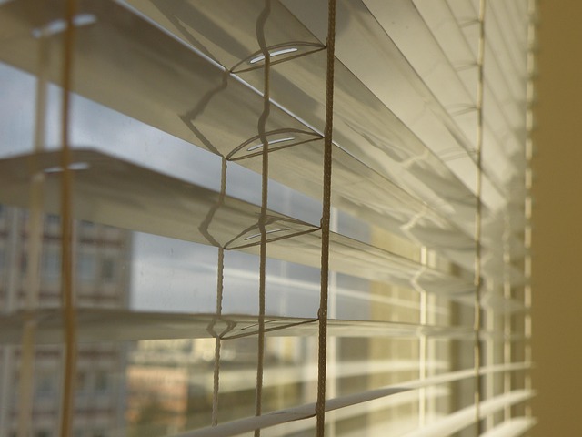 portable blind