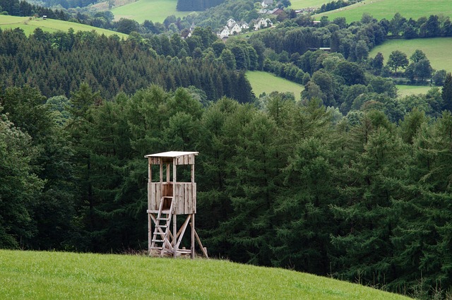 summit tree stand