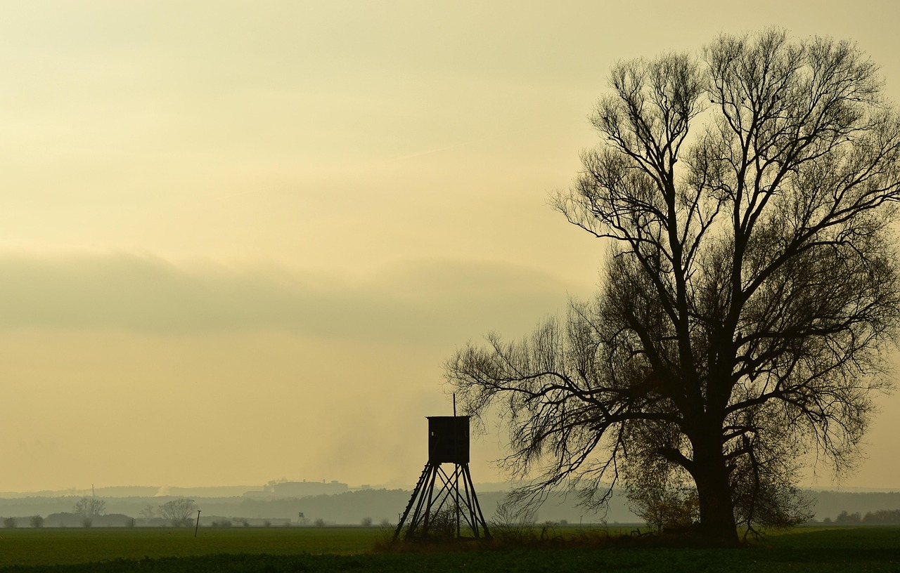 tree stand safety checklist