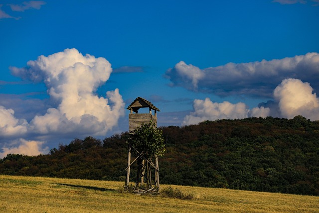 free deer stand plans