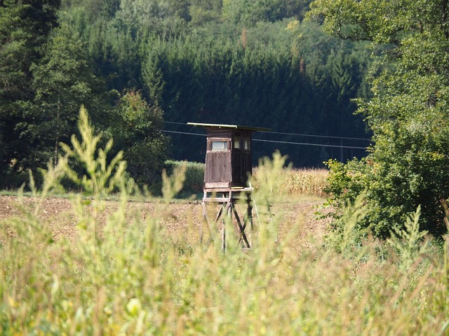 gorilla tree stand