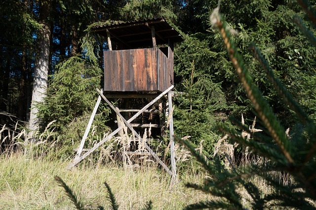 reasons to hunt from tree stands