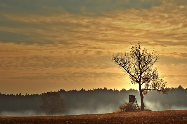summit tree stand