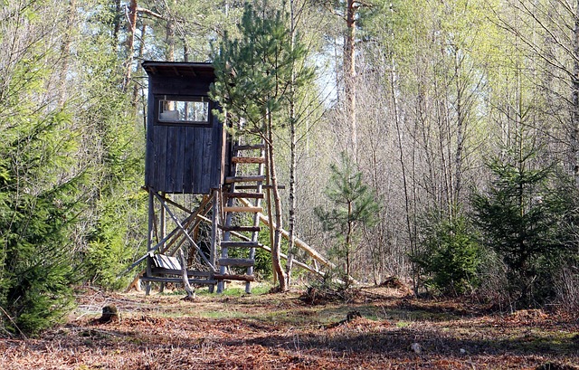 tree stand cam holder