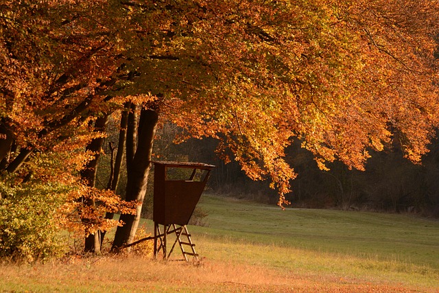 tree stand locator