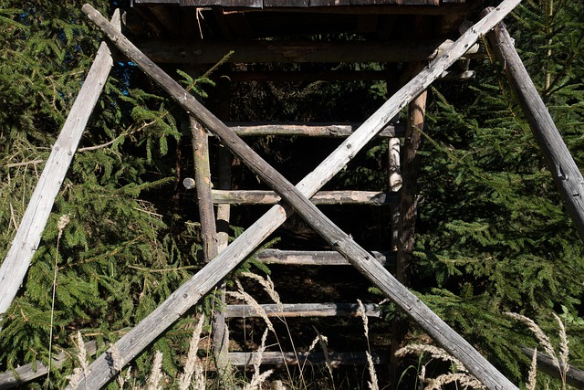 tree stand maintenance