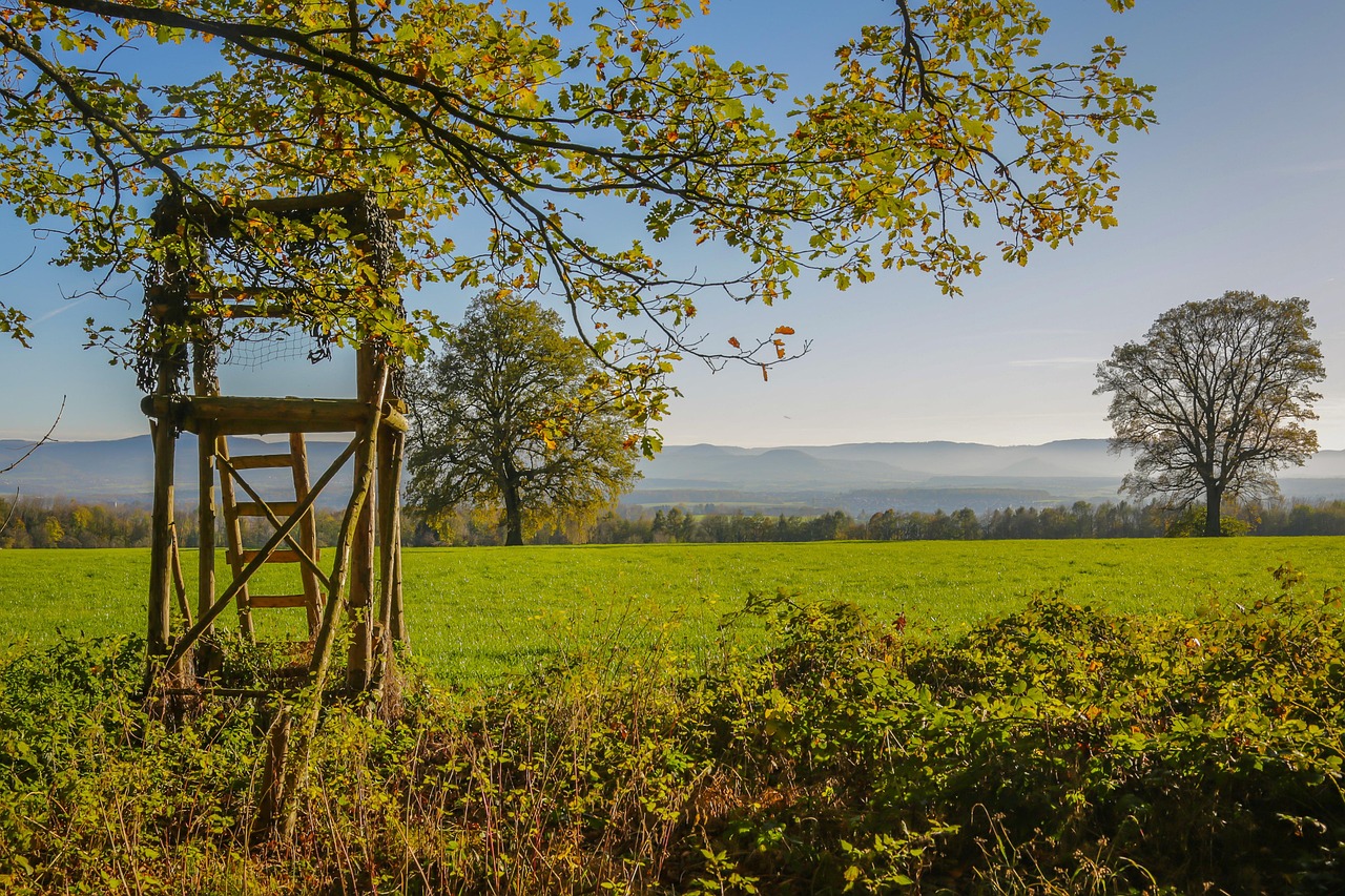 Hunting stand placed at a field edge among autumn trees