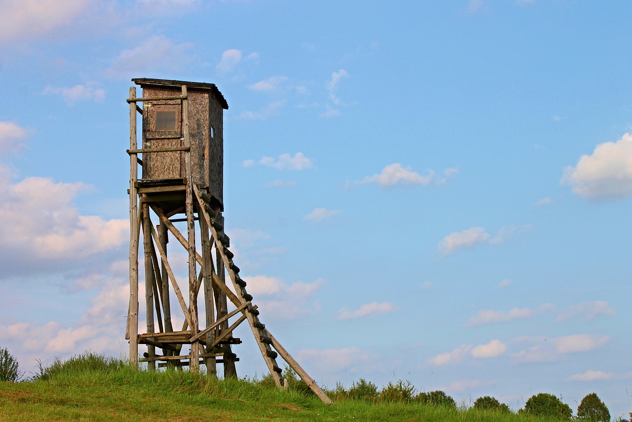 Hand-built wooden tower stand with a ladder in a grassy field