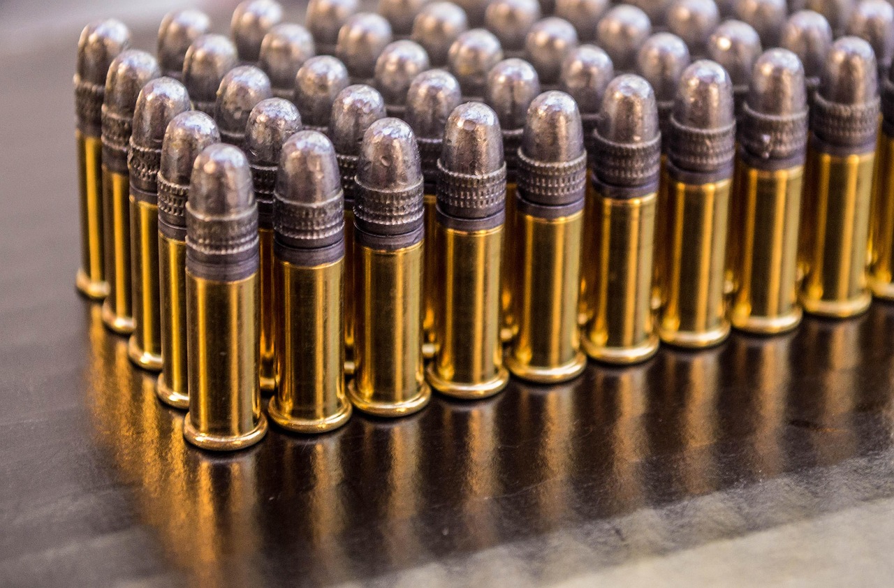 Rows of .22 LR rimfire cartridges