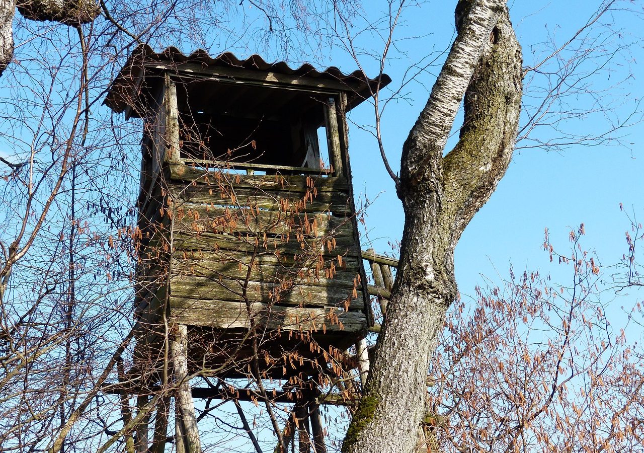 Enclosed hunting stand mounted high in a tree against a blue sky