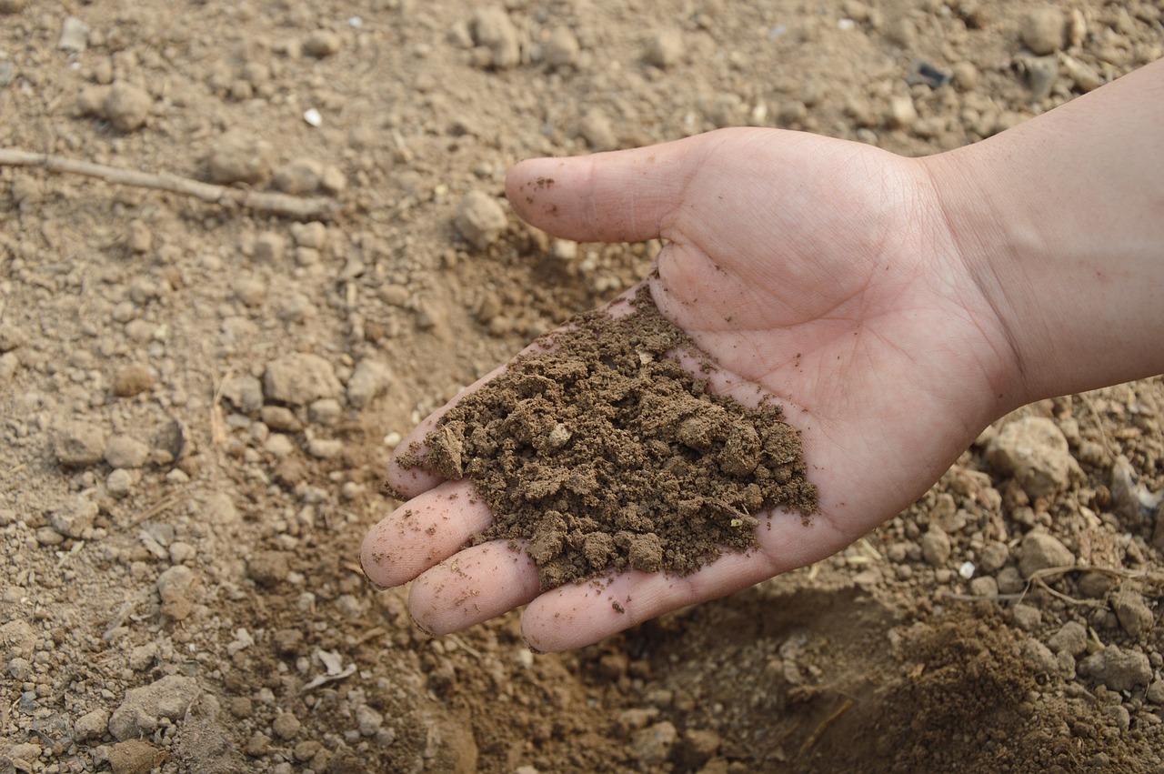 Hand holding a handful of dark field soil