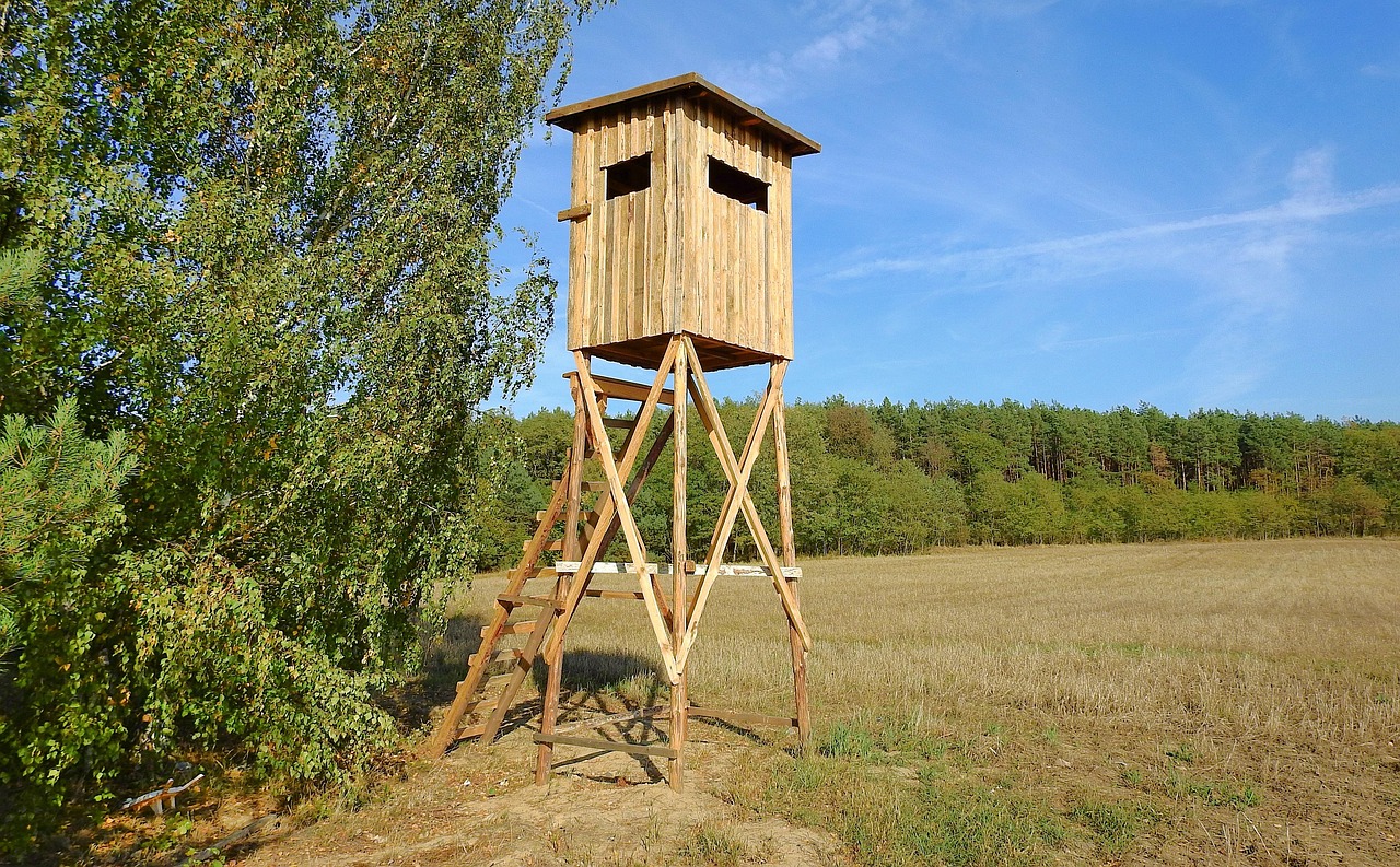 Wooden box blind on stilts at the edge of a harvested field