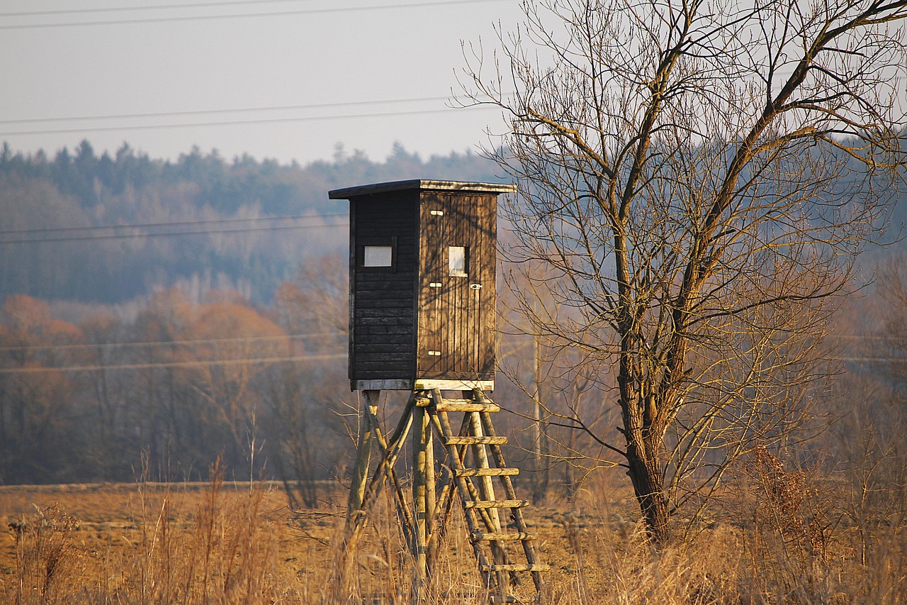 Weathered wooden tree stand among bare trees at a field edge